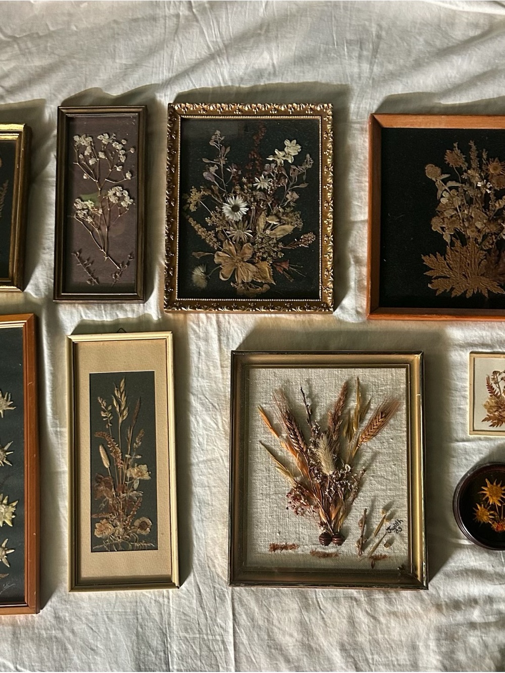 Vintage Framed Dried Floral Wall Art Collqge